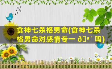 食神七杀格男命(食神七杀格男命对感情专一 🪴 吗)